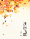 扶南飞歌