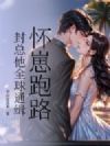 怀崽跑路,封总他全球通缉