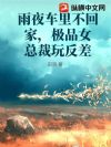 雨夜车里不回家,极品女总裁玩反差